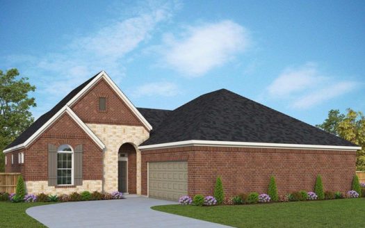 David Weekley Homes Elements at Viridian - Garden Series subdivision 2019 Spotted Fawn Drive Arlington TX 76005