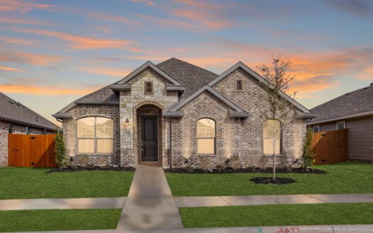Antares Homes Heartland Phase 20 subdivision 3844 Star Mesa Street Heartland TX 75126