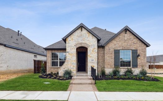David Weekley Homes Elements at Viridian - Signature Series subdivision 4845 Cypress Thorn Drive Arlington TX 76005