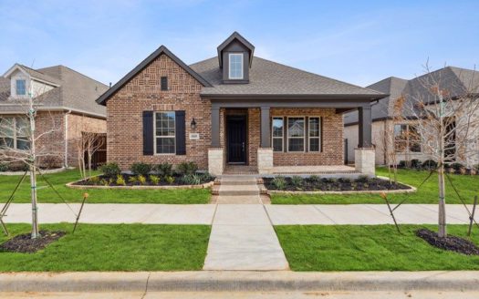 David Weekley Homes Elements at Viridian - Signature Series subdivision 4849 Cypress Thorn Drive Arlington TX 76005